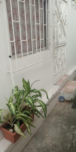 Boel Boutique Hostal