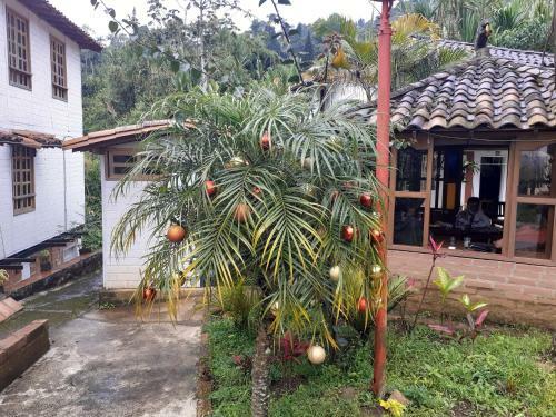 Agroturismo Casa Ventura