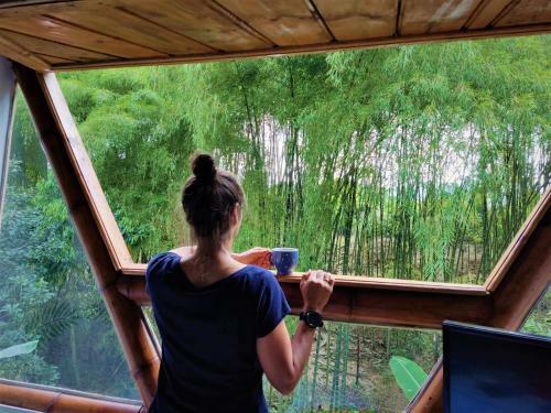 Apartamento Casa Passaro