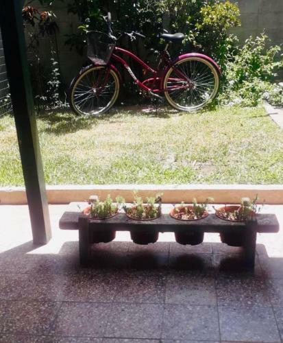 Alquiler de Casa Por D�a