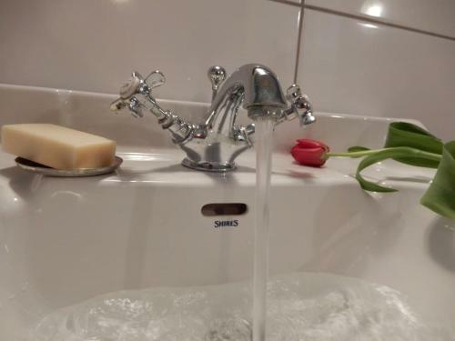 Romantick� Apartm�n S Krbom V Starej Vile