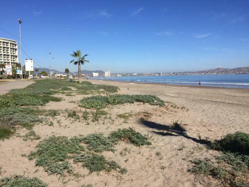 Apartamento Dpto Jardin Del Mar En La Serena-coquimbo