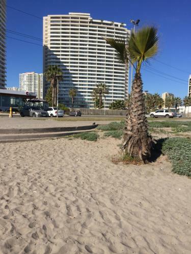 Apartamento Dpto Jardin Del Mar En La Serena-coquimbo