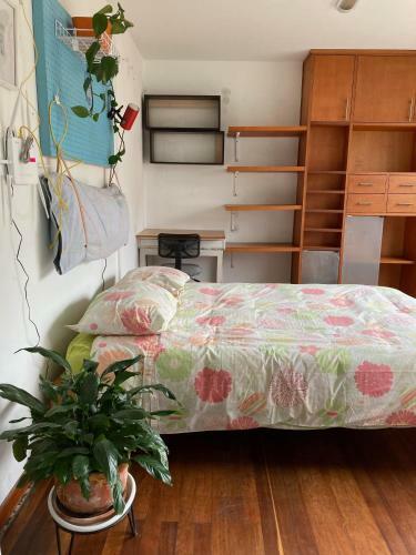 Apartamento Iluminado Y Central