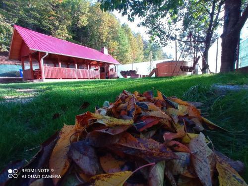Cabana Piatra Plaiului