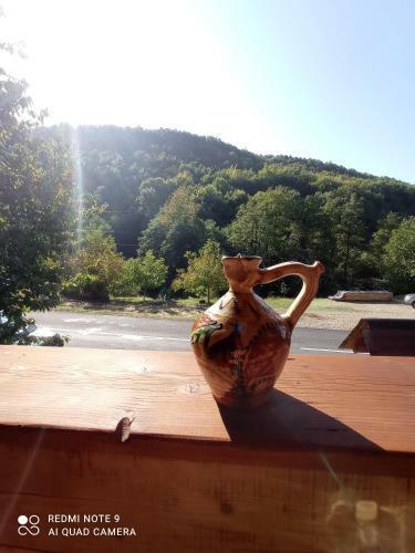 Cabana Piatra Plaiului