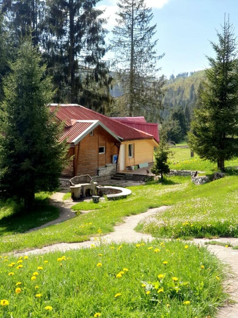 Lodge Vile Izvorul Minunilor