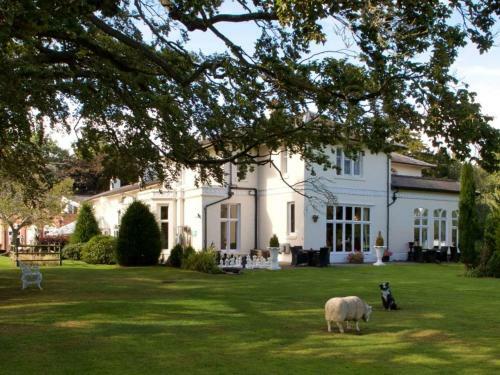 Best Western Llyndir Hall Hotel And Spa