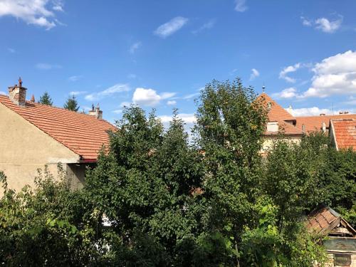 Schei Apartament 2