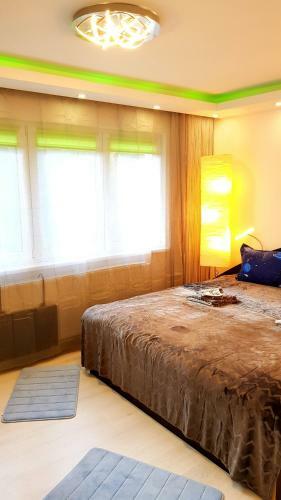 Luxury Paul Apartment Green, Private & Accessible