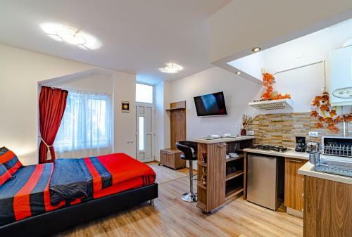 Apartamentos Poarta Schei Studio