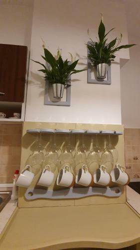 Apartamento Bibliotheque Studio