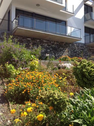 Villa Girasol