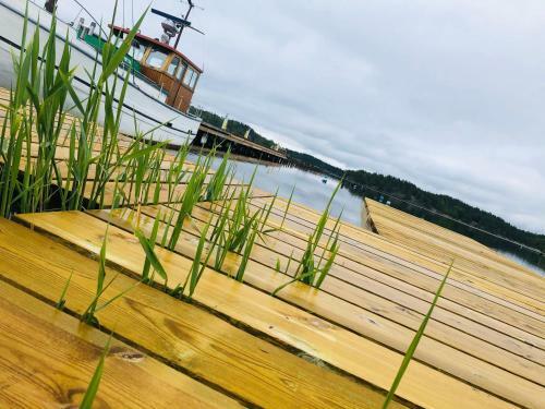 Schwimmendes Haus, Freier Blick Aufs Tolle Wasser