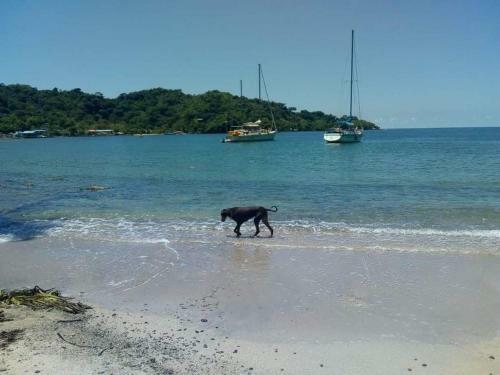 Hostal Kelly Tours Capurgan�