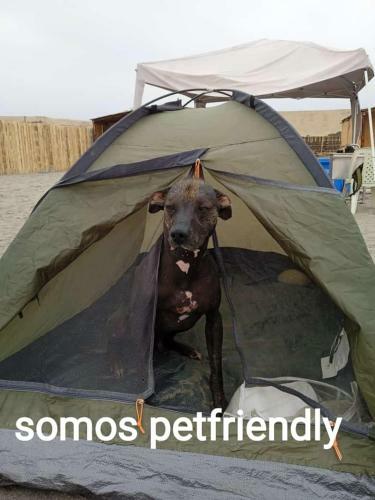 Apartamento Choza Sol - Playa �las Totoritas�