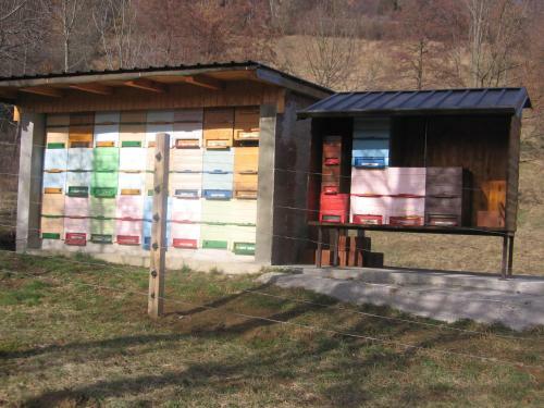 Hostal Guest House Ro?e