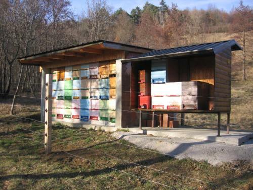 Hostal Guest House Ro?e