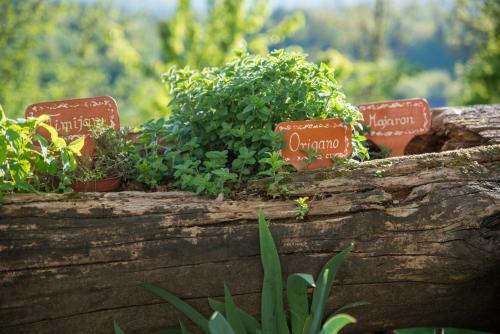 Agroturismo Holiday Farm Grofija