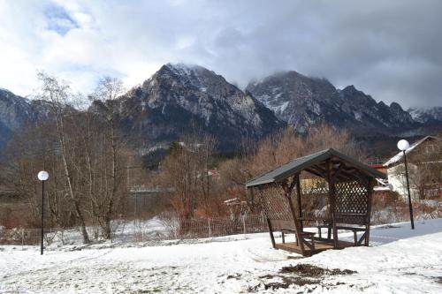 Apartament Golden Rose 2
