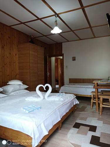 Hostal Casa Rodica Str. Clabucetului 28