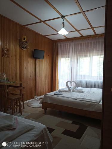 Hostal Casa Rodica Str. Clabucetului 28