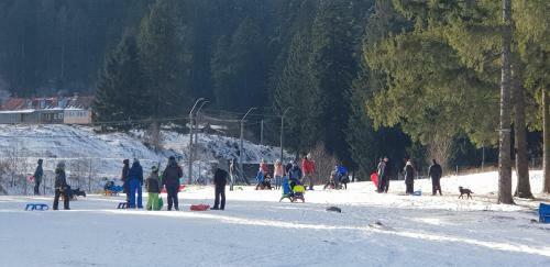 Apartament Silva Busteni