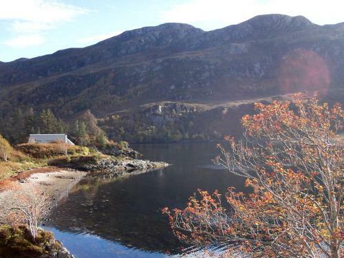 Island Bay View