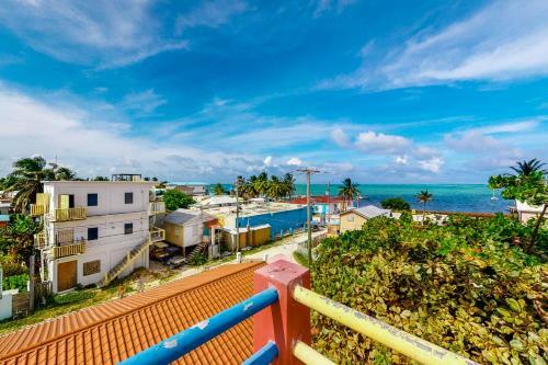 Apartamento De Real Macaw
