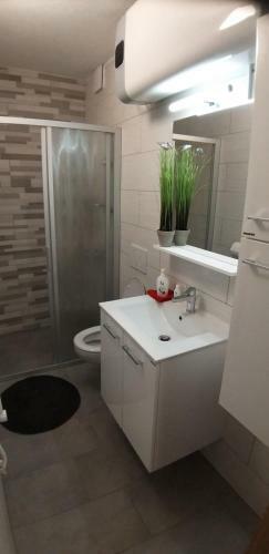 Apartmaji Son?ek Izola