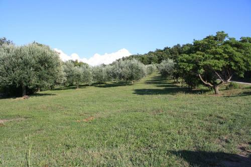 Apartments Villa Sandi