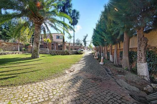 Apartamento Com 1 Quarto