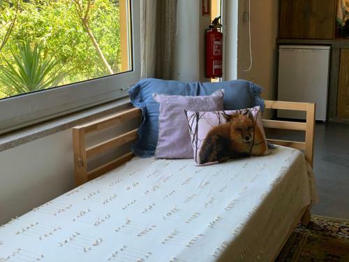Loft - Casinha � Porta