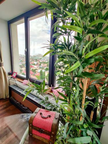 Apartamento Luxurious New Penthouse With Fantastic Views