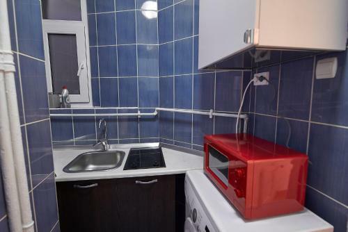 Bucharest City Center (Cismigiu Park) Apartment
