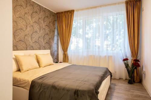 Aquarium Apartment Grivita