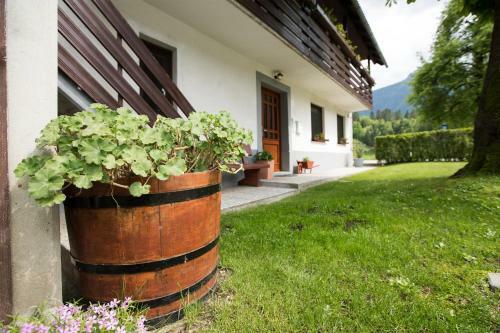 Apartma Pr Gatej