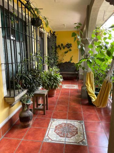 Casa Quetzalli