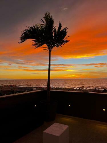 Hotel Coco Beach Cartagena Rooftop Gastro Bar