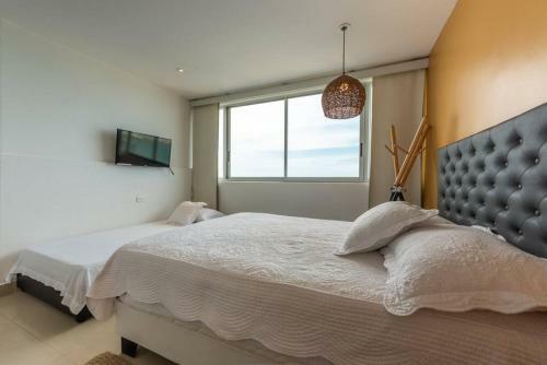 Palmetto Apartments Cartagena