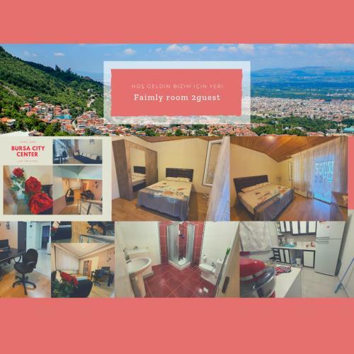 Lux Shared Room