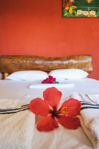 Hostel Santa Cruz Ometepe