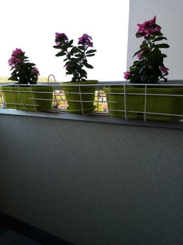Apartment Silver