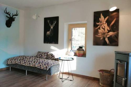 Hi?a Pri Koritu - Apartma Matajur