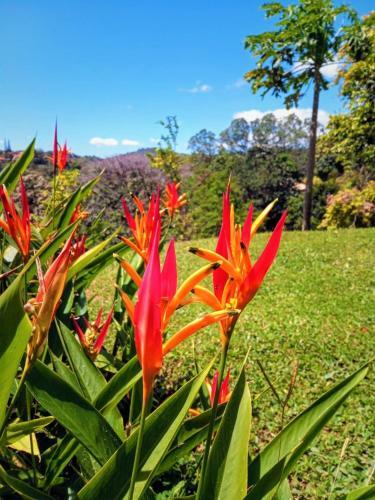 Lake Gardens Arenal