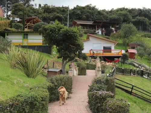 Chalet En Granja Campo Hermoso