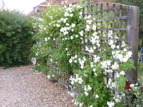 Bed & Breakfast Ashdene House