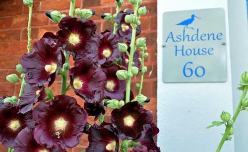 Bed & Breakfast Ashdene House