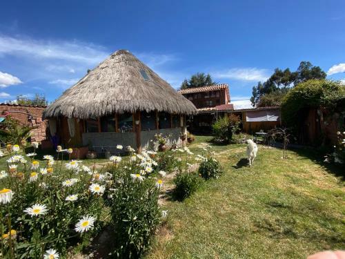 Bed & Breakfast Mountain House Casa de La Gringa