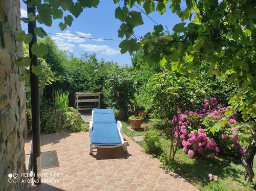 Apartment Villa Istriana